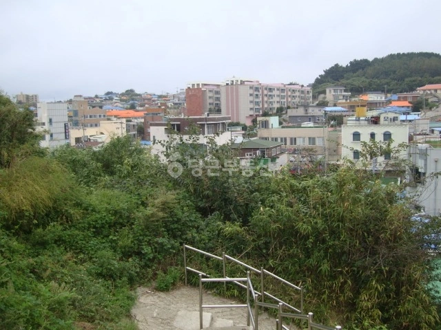 경상북도 울진군 죽변면 토지 사진 1
