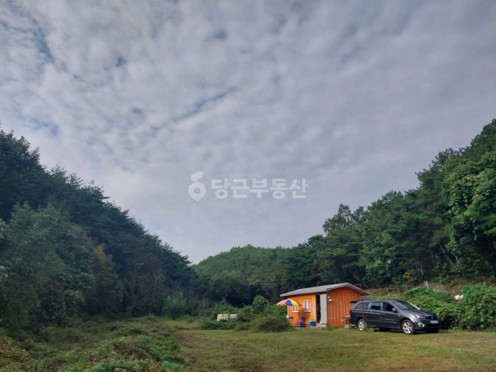 경상북도 영천시 고경면 토지 사진 1