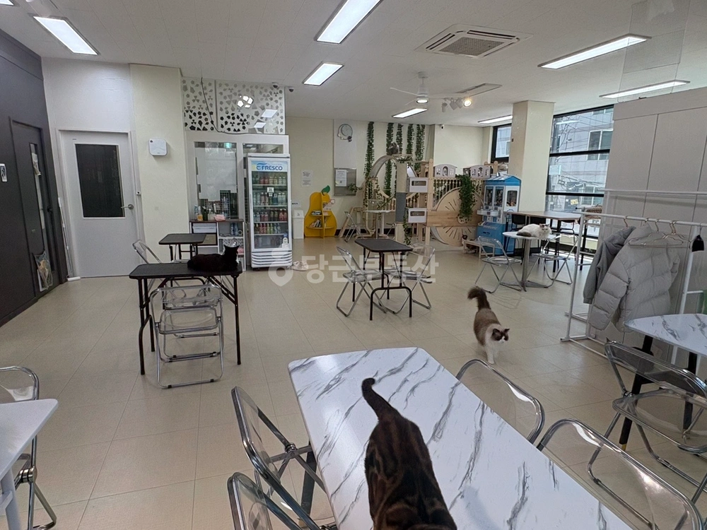 충청남도 천안시 서북구 두정동 상가 사진 1