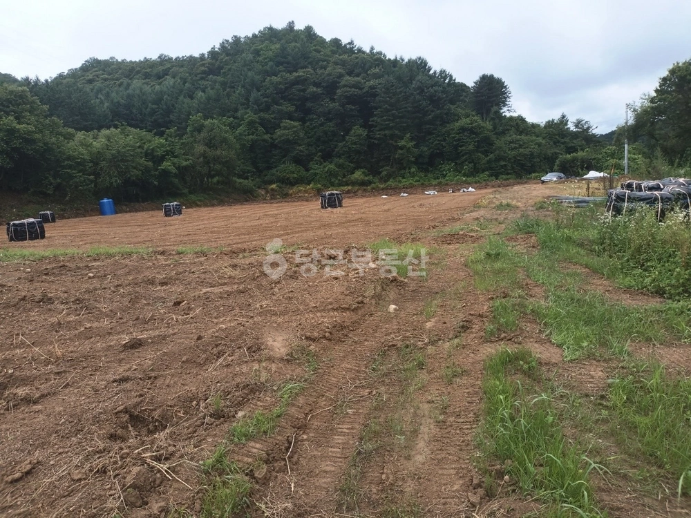 강원특별자치도 횡성군 공근면 토지 사진 1