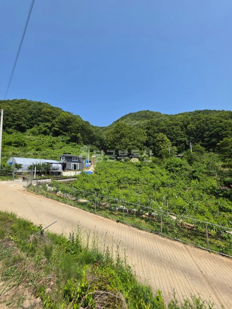 대전광역시 중구 금동 토지 사진 1