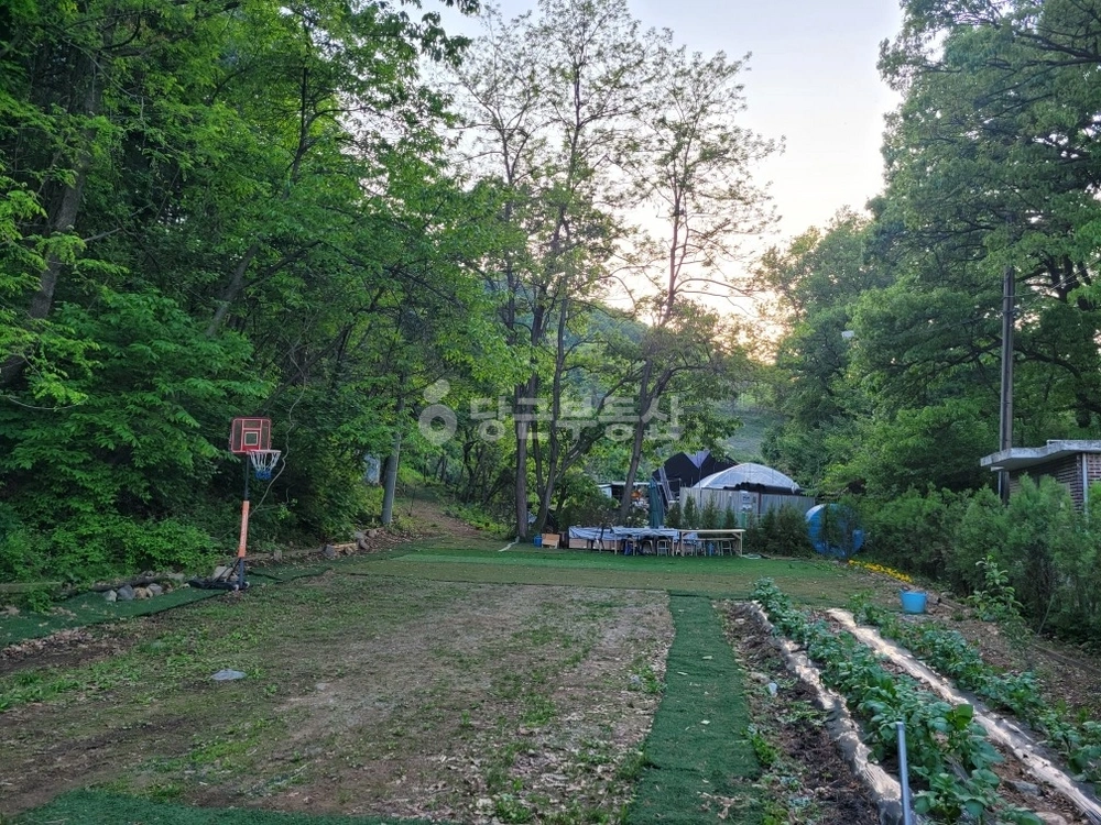 경기도 안양시 만안구 박달동 토지 사진 1