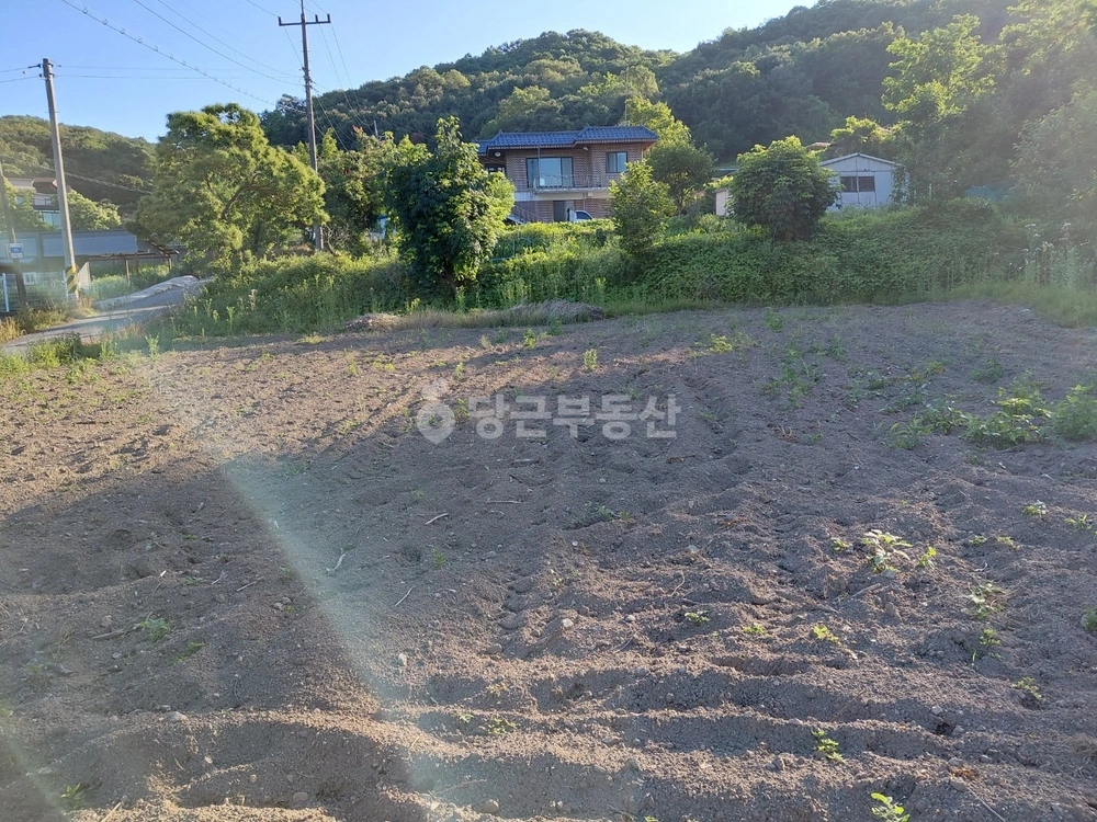 경기도 용인시 처인구 원삼면 단독/전원주택 사진 1