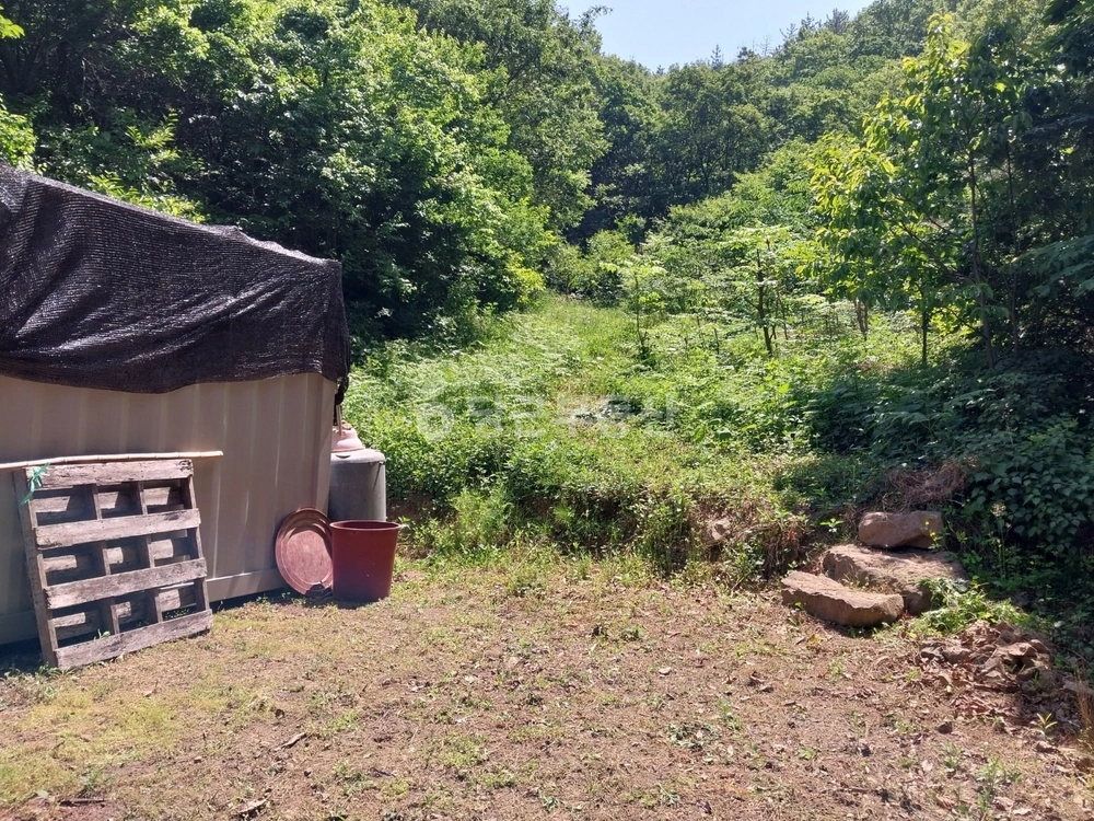 경상남도 양산시 원동면 토지 사진 1