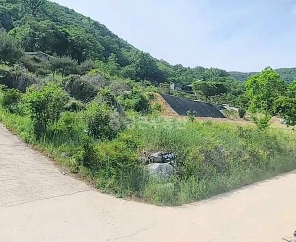 충청남도 공주시 반포면 토지 사진 1