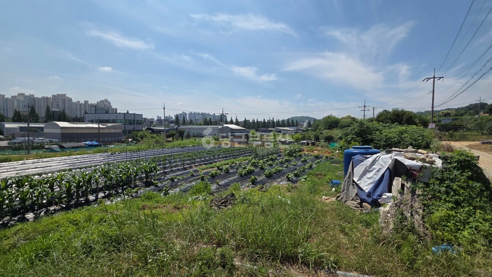 충청남도 천안시 동남구 신방동 토지 사진 1