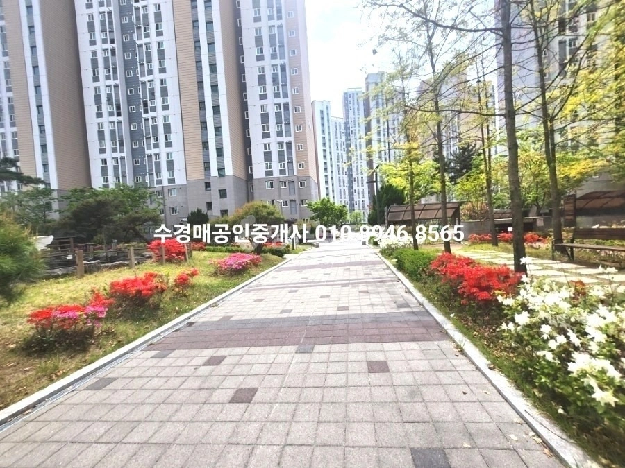 대구광역시 달성군 구지면 아파트 사진 1