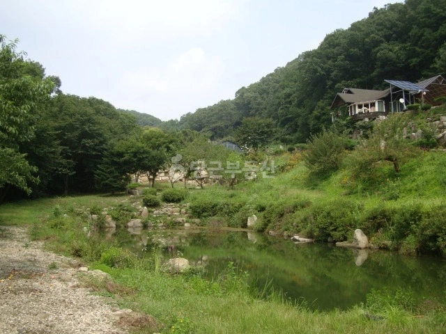강원특별자치도 원주시 귀래면 토지 사진 1