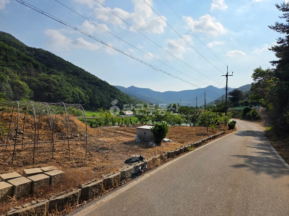 충청남도 예산군 예산읍 토지 사진 1