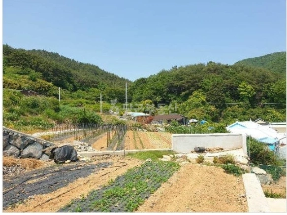 경상남도 거제시 동부면 토지 사진 1