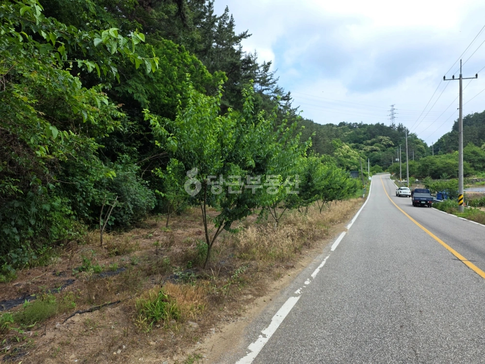 경상남도 진주시 명석면 토지 사진 1
