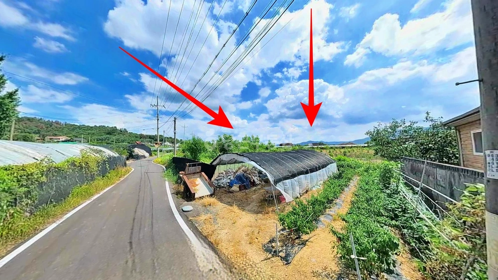 경상북도 영천시 금호읍 토지 사진 1