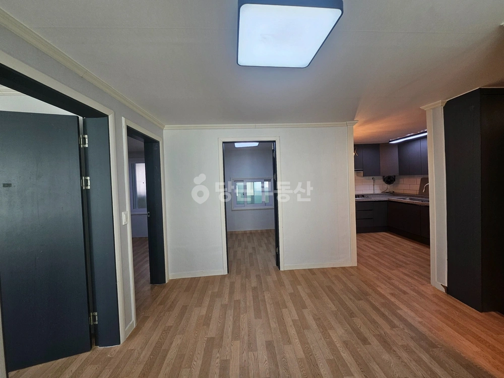 대전광역시 서구 용문동 빌라(투룸 이상) 사진 1