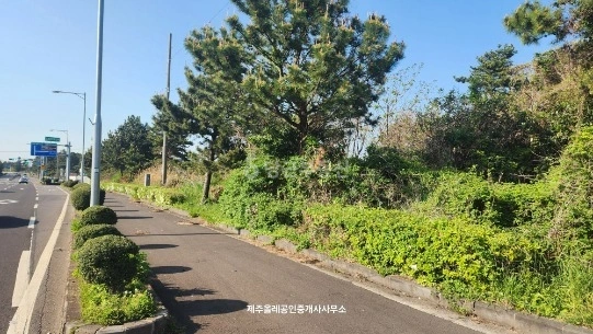 제주특별자치도 서귀포시 성산읍 토지 사진 1