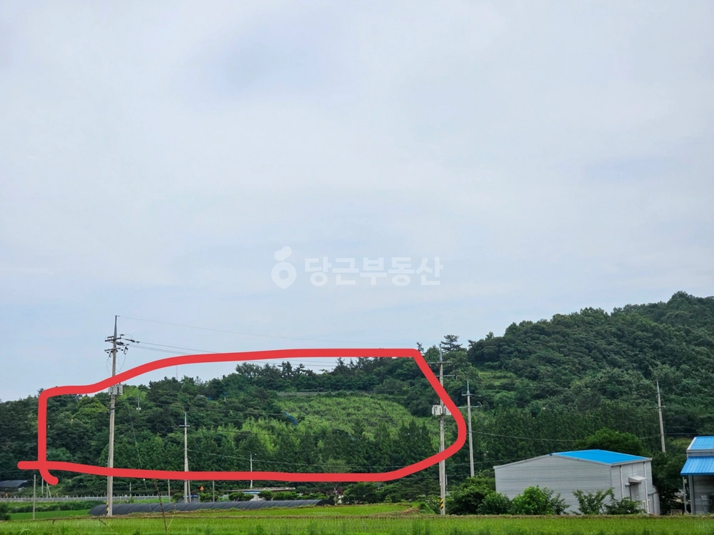 전남광주통합특별시 보성군 득량면 토지 사진 1