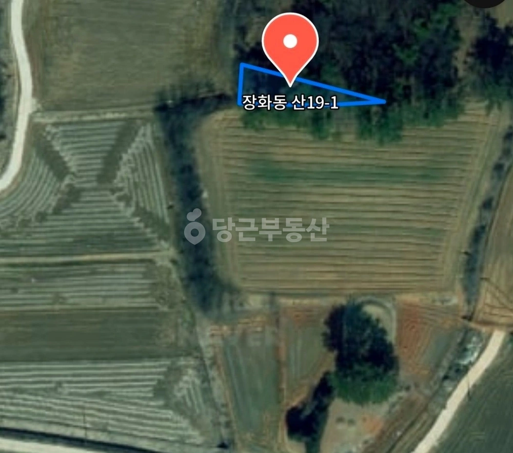 전북특별자치도 김제시 장화동 토지 사진 1