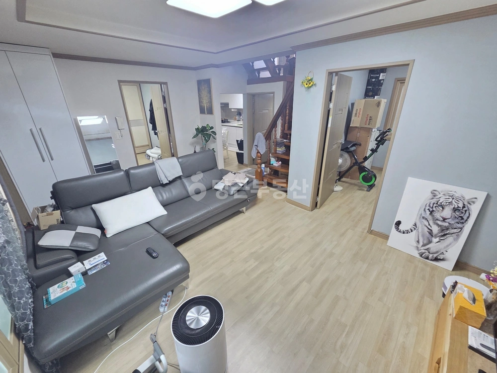 부산광역시 수영구 광안동 단독/전원주택 사진 1