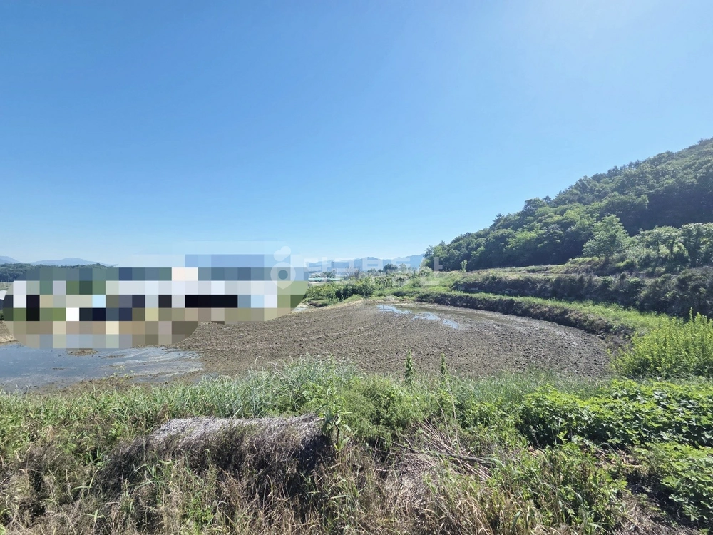 경상남도 거창군 남상면 토지 사진 1