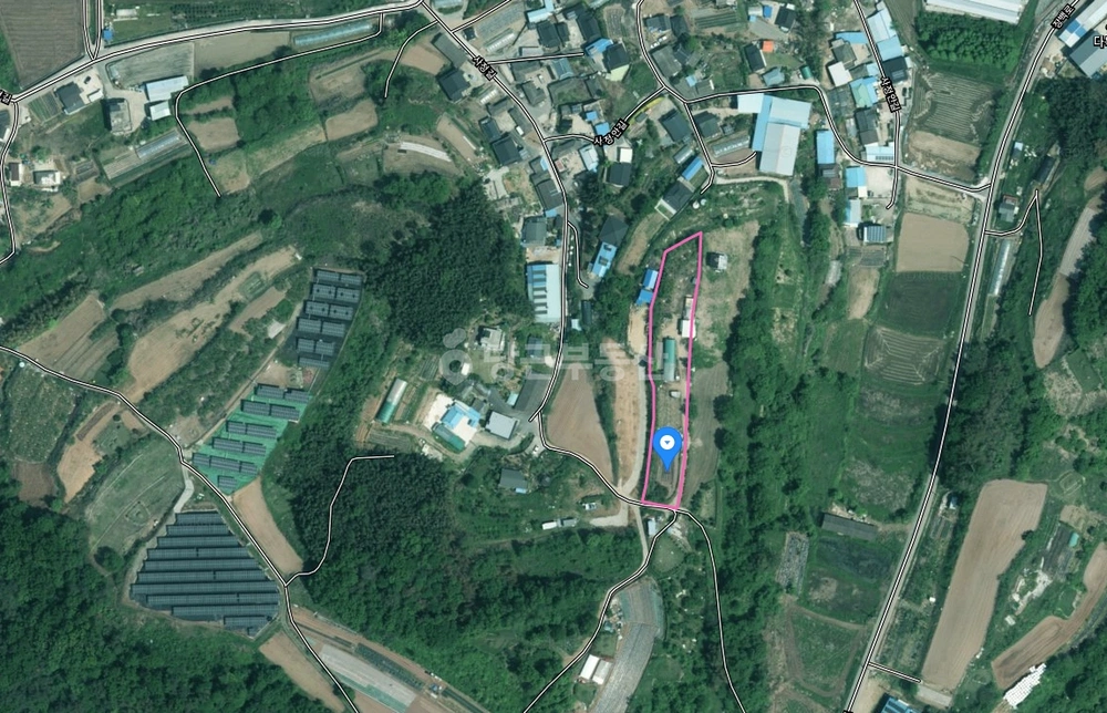 경상남도 함안군 법수면 토지 사진 1