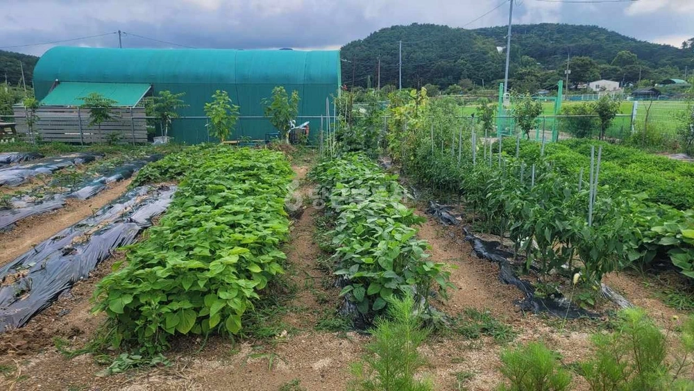 부산광역시 기장군 철마면 토지 사진 1