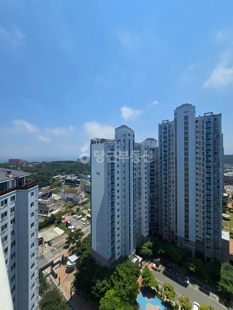 경상북도 포항시 북구 양덕동 아파트 사진 1