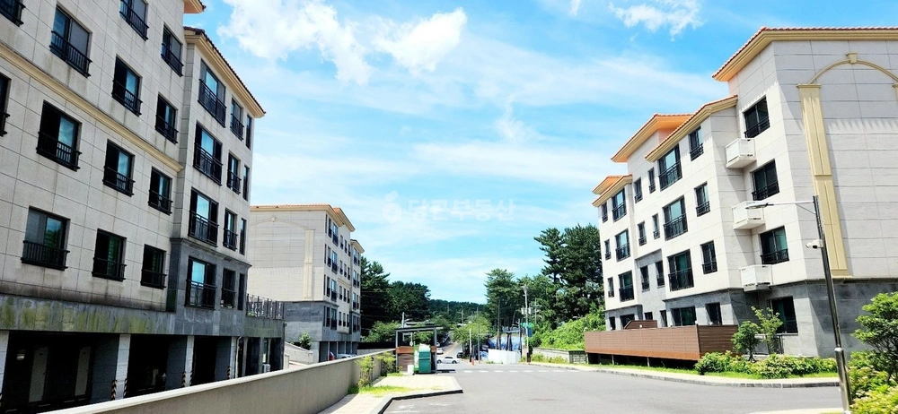 제주특별자치도 제주시 아라일동 빌라(투룸 이상) 사진 1