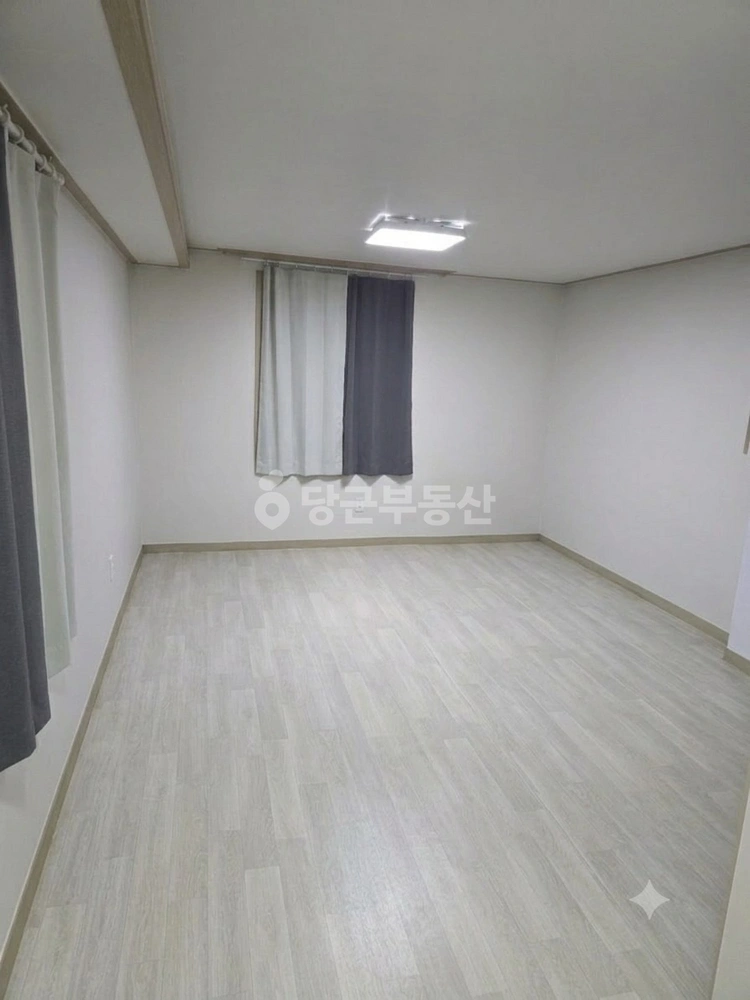 경기도 성남시 분당구 정자동 원룸 사진 1