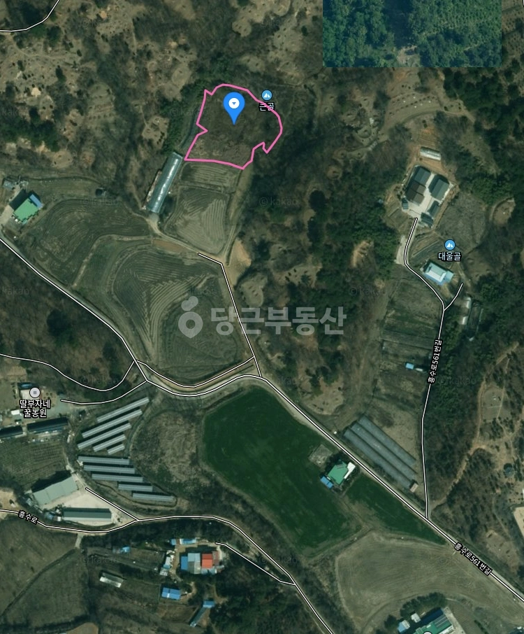 충청남도 부여군 규암면 토지 사진 1