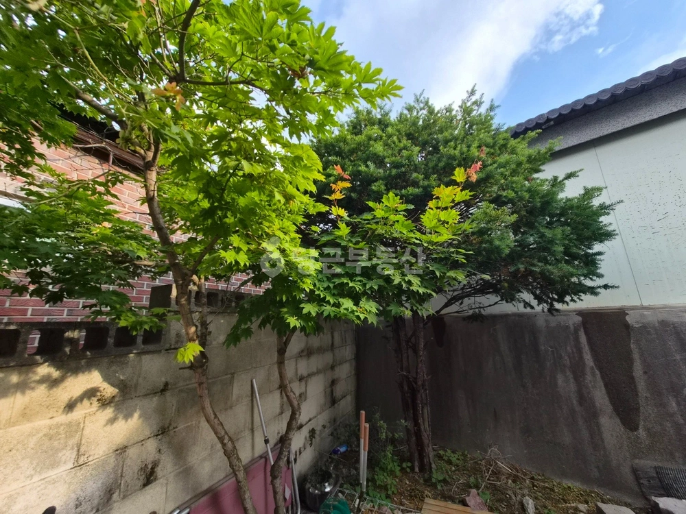 강원특별자치도 태백시 황지동 단독/전원주택 사진 1