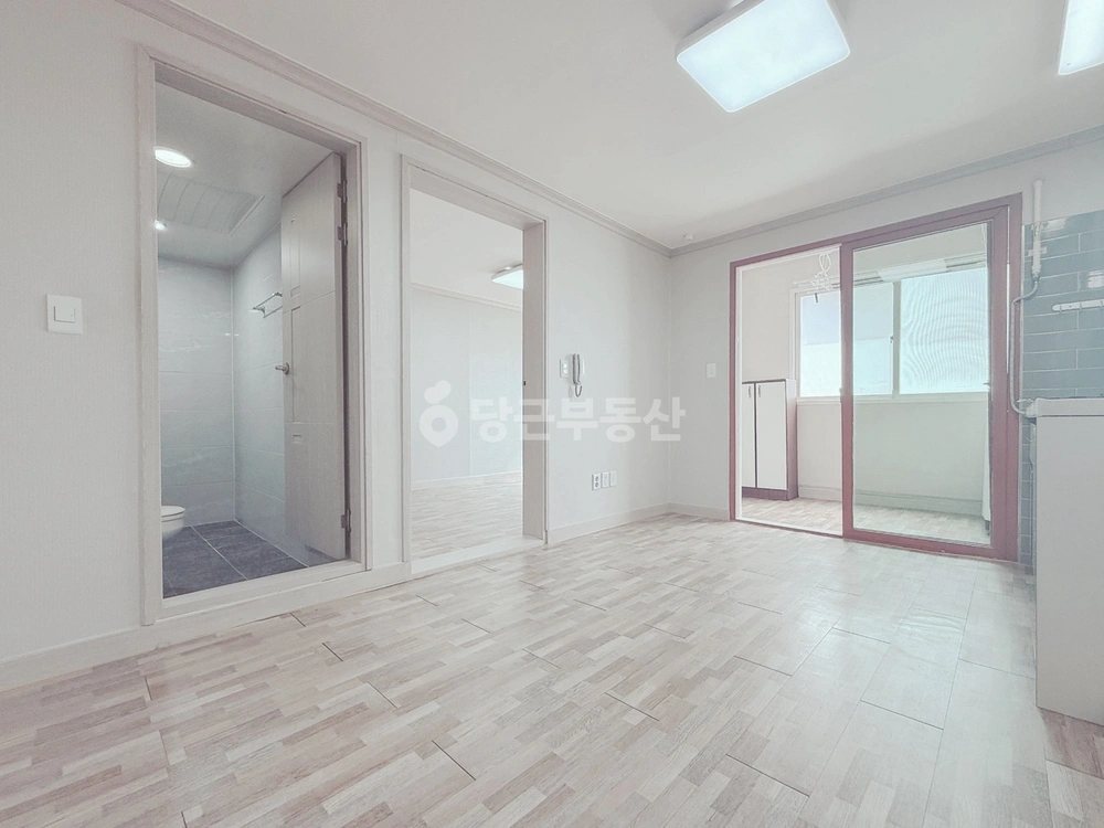 대구광역시 남구 대명동 빌라(투룸 이상) 사진 1