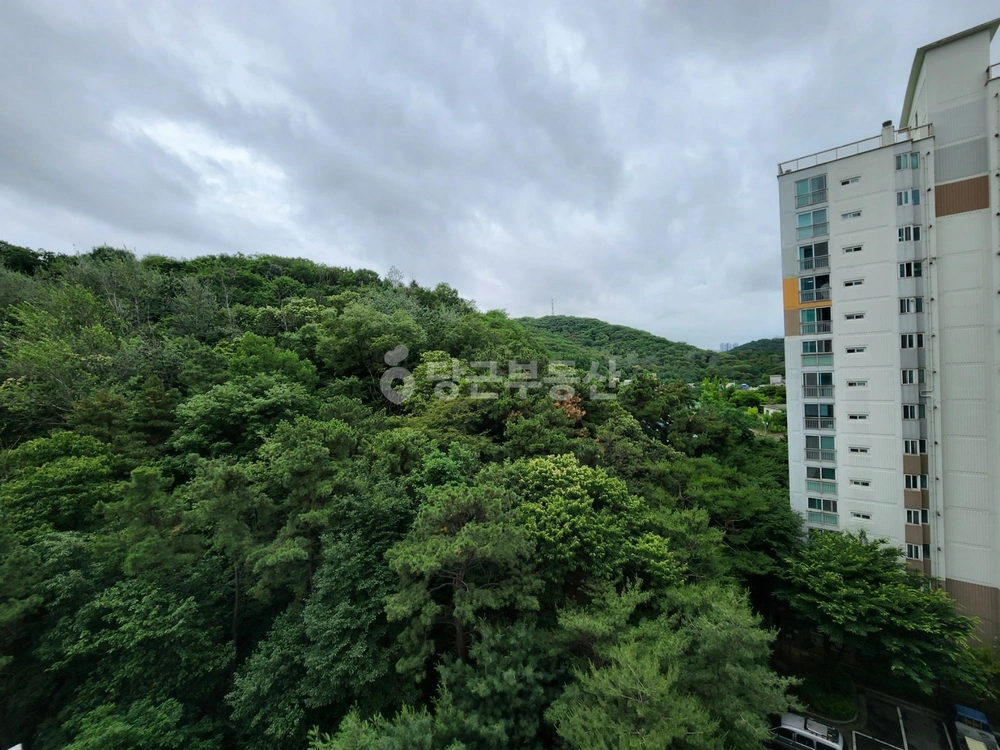 인천광역시 부평구 부평동 아파트 사진 1