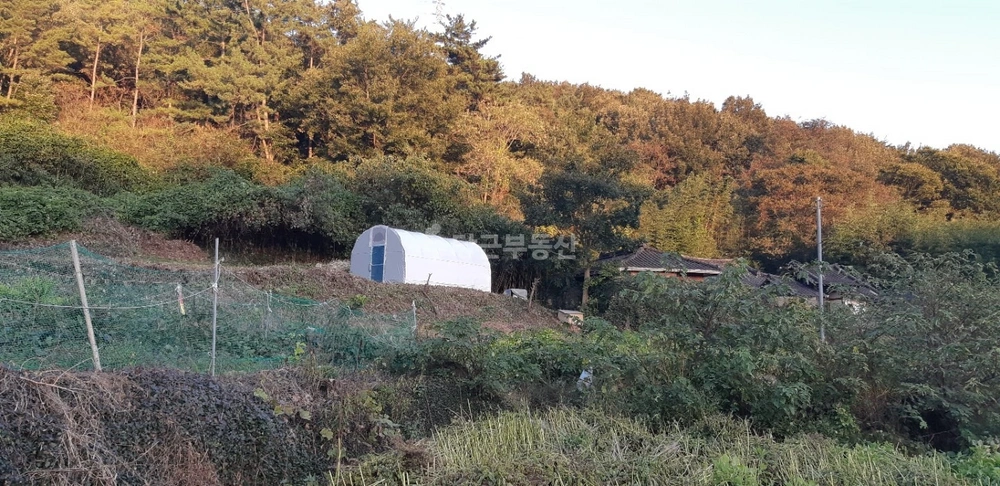 전남광주통합특별시 광산구 서봉동 토지 사진 1