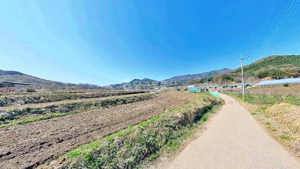 경상북도 칠곡군 기산면 토지 사진 1