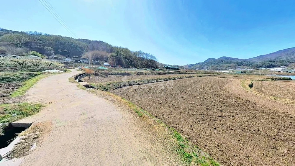 경상북도 칠곡군 기산면 토지 사진 1
