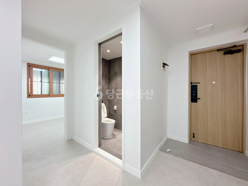 대전광역시 서구 용문동 빌라(투룸 이상) 사진 1