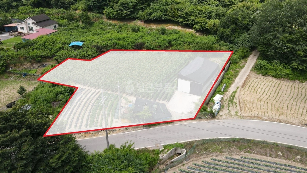 전북특별자치도 진안군 성수면 토지 사진 1