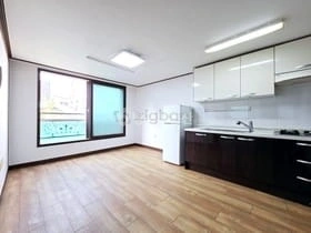 대전광역시 서구 괴정동 빌라(투룸 이상) 사진 1