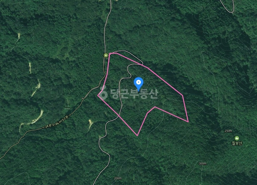 전북특별자치도 정읍시 칠보면 토지 사진 1