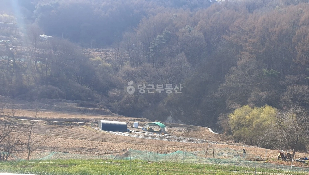 경상북도 성주군 금수강산면 토지 사진 1