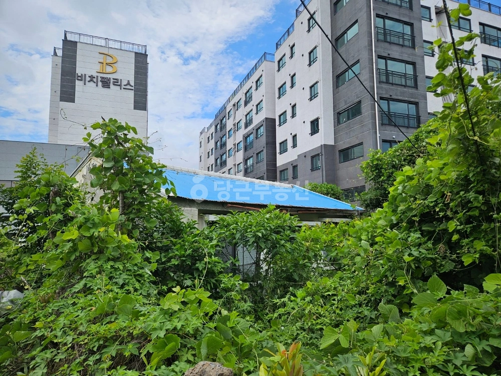 제주특별자치도 서귀포시 표선면 단독/전원주택 사진 1