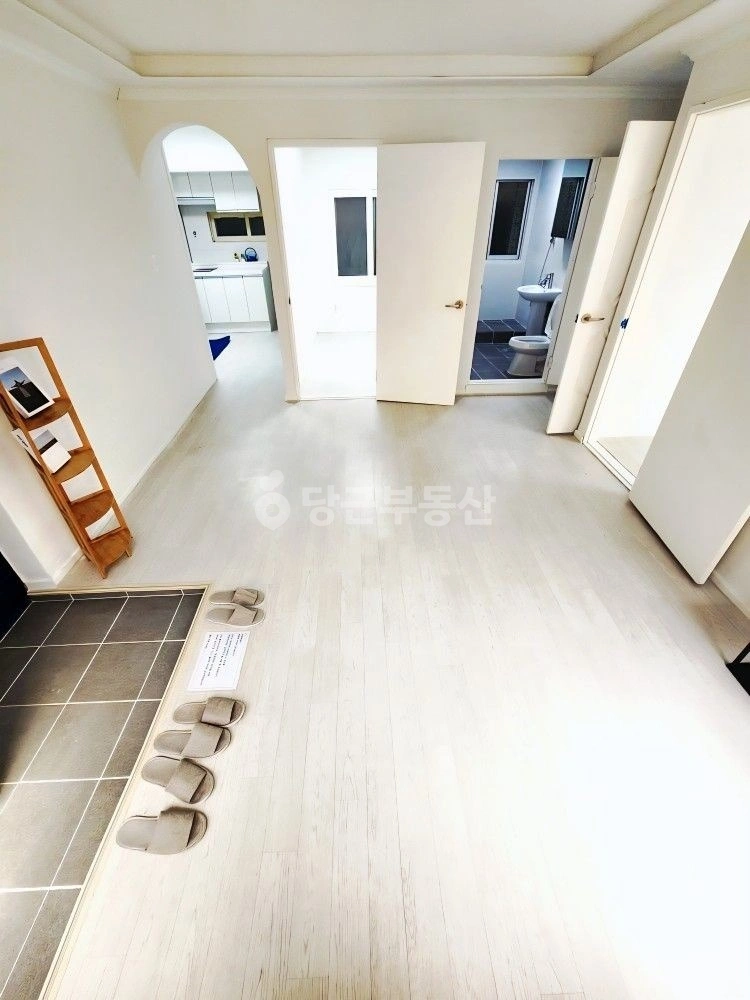 대전광역시 동구 홍도동 빌라(투룸 이상) 사진 1
