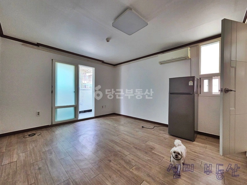 대전광역시 유성구 봉산동 원룸 사진 1