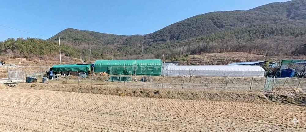경상남도 창녕군 도천면 토지 사진 1
