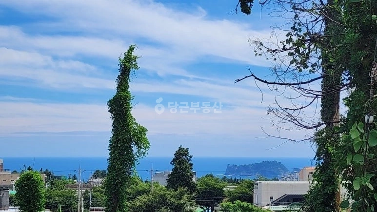 제주특별자치도 서귀포시 호근동 토지 사진 1
