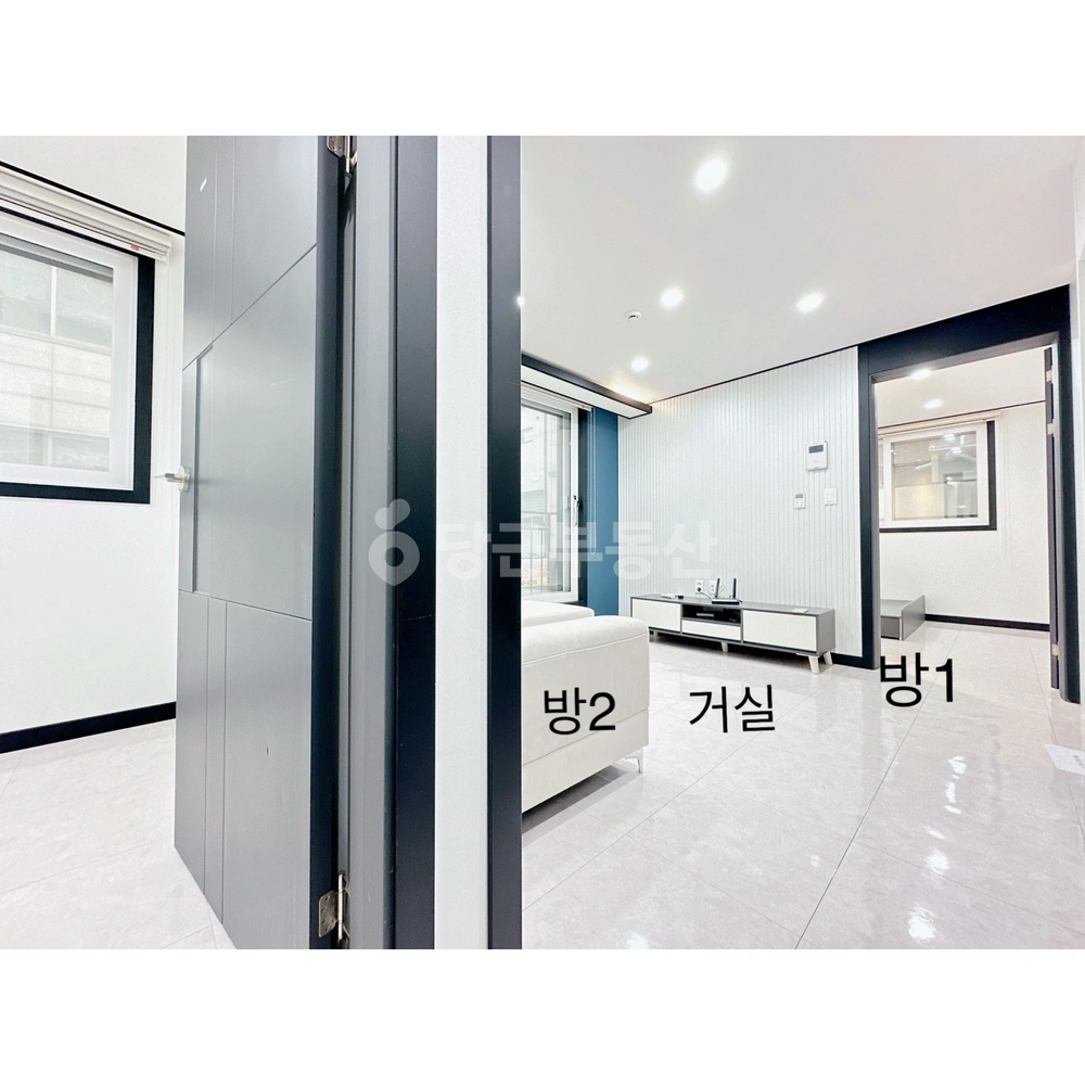 대전광역시 서구 둔산동 빌라(투룸 이상) 사진 1