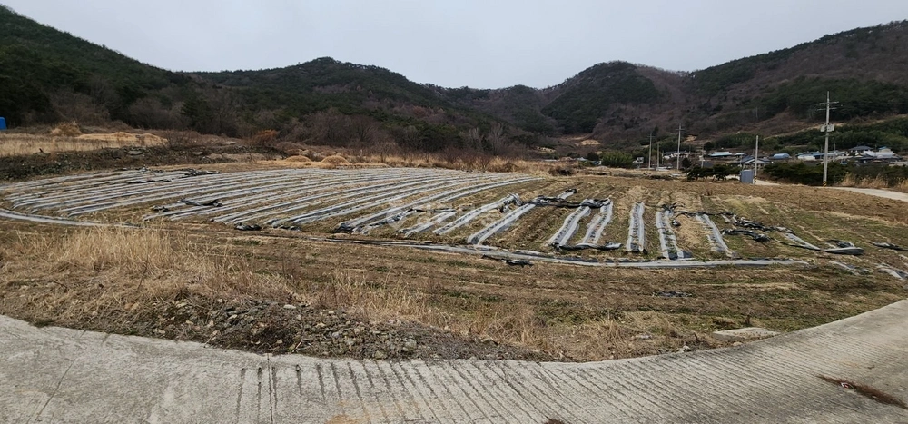 전남광주통합특별시 영광군 백수읍 토지 사진 1