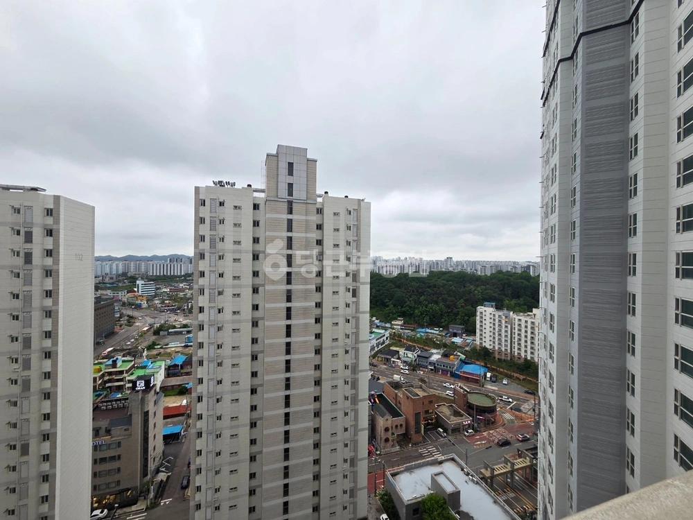 전북특별자치도 군산시 대명동 아파트 사진 1