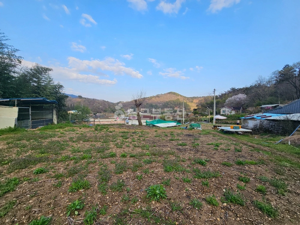 전남광주통합특별시 순천시 상사면 토지 사진 1