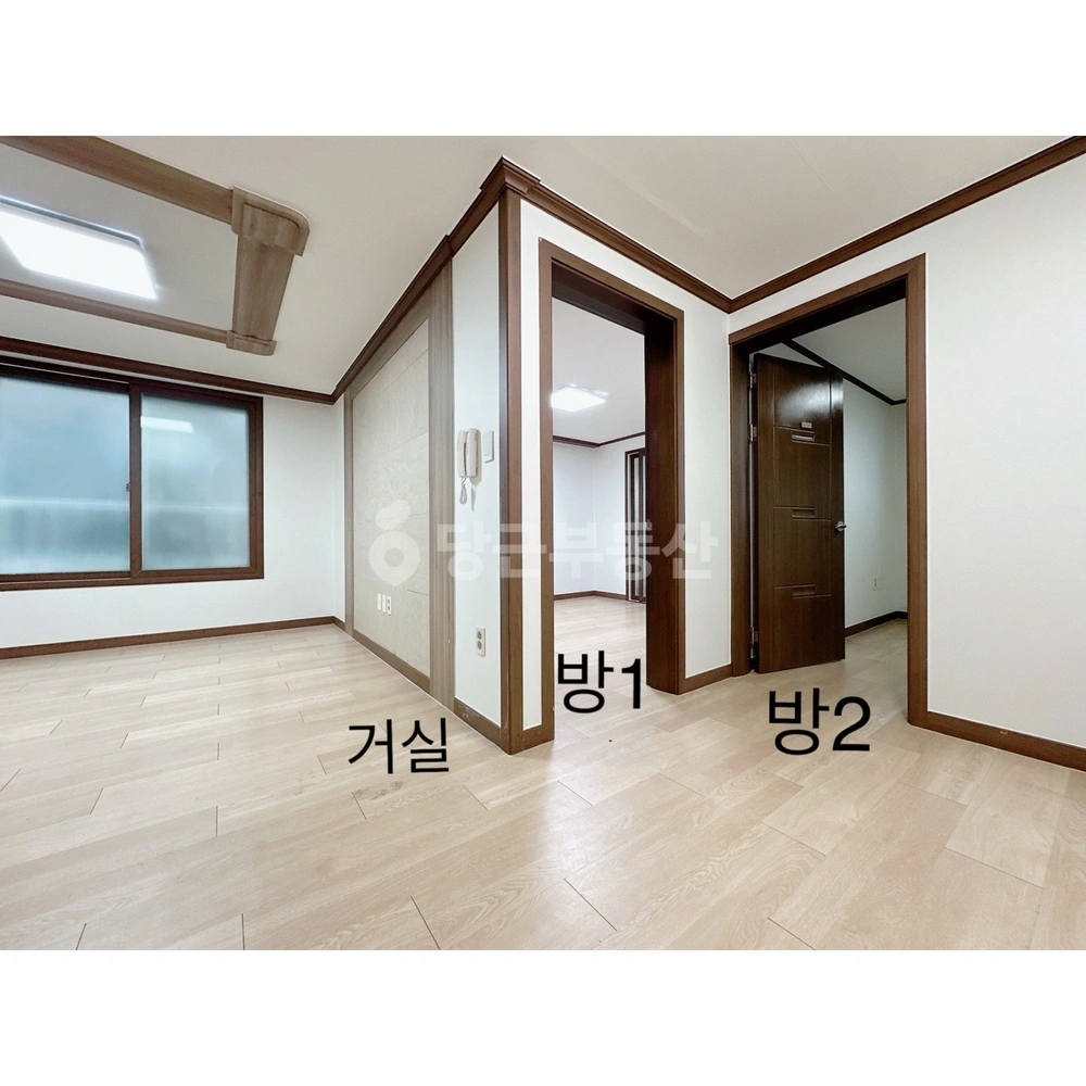 대전광역시 서구 괴정동 빌라(투룸 이상) 사진 1
