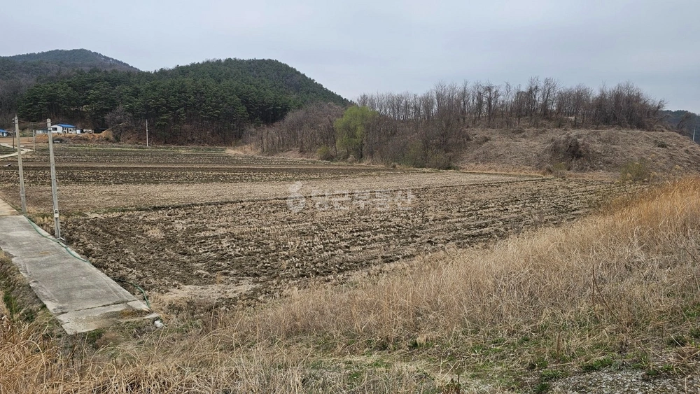 경기도 여주시 점동면 토지 사진 1